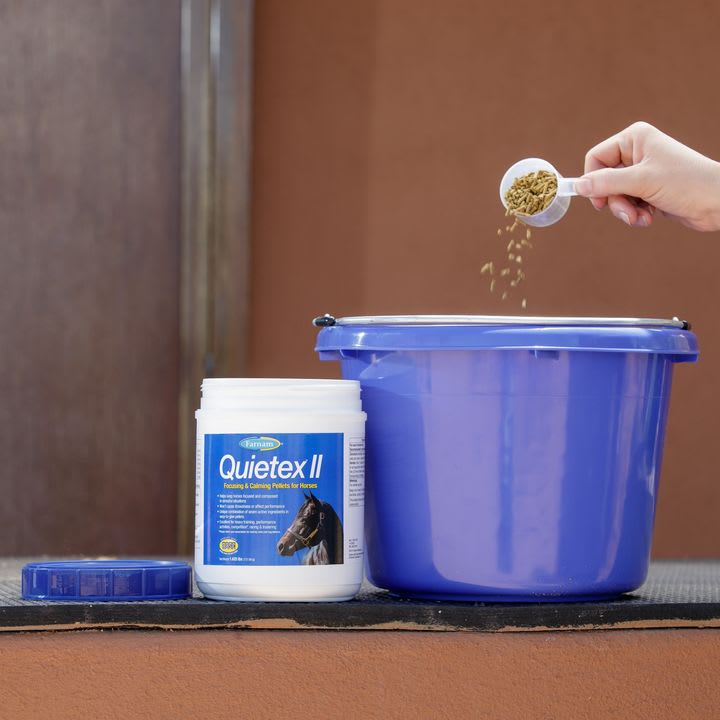 Quietex: Helping Horses Stay Calm and Focused