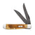 Case Burnt Goldenrod Second Cut Jig Mini Trapper (6207W DAM) Knives WR CASE   