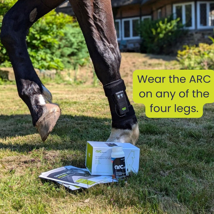 ArcEquine Complete Kit - Microcurrent Therapy Device Equine - Therapeutic English Riding Supply