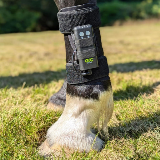 ArcEquine Complete Kit - Microcurrent Therapy Device Equine - Therapeutic English Riding Supply