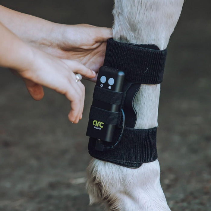 ArcEquine Complete Kit - Microcurrent Therapy Device Equine - Therapeutic English Riding Supply