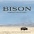 Bison: Portrait of an Icon Book HOME & GIFTS - Books Gibbs Smith   