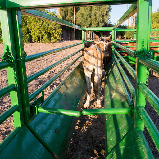 Chute Help Straight Lead Up w/Dual Alley Stops (In-Store Only) Equipment - Chutes Chute Help