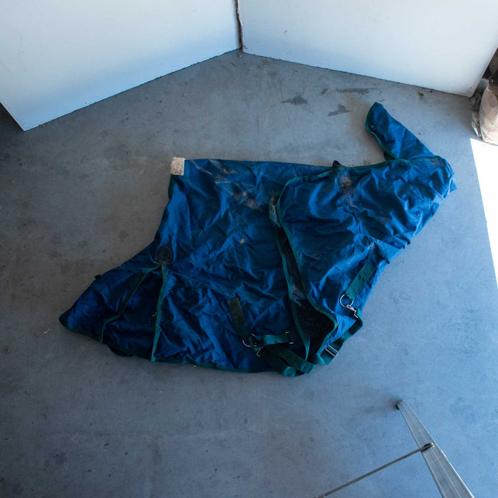 Used 62" Winter Blanket