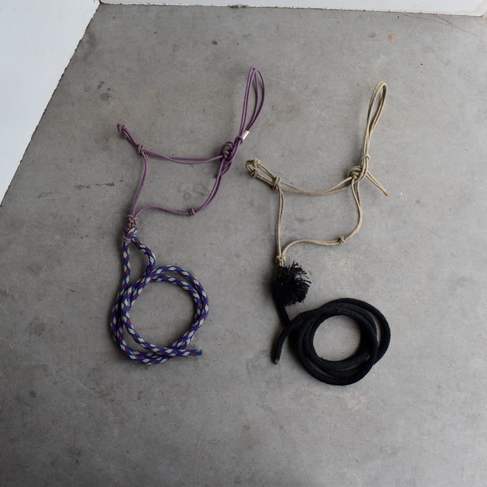Used Assorted Rope With Halter With Leads Set of 2 Sale Barn Teskey's