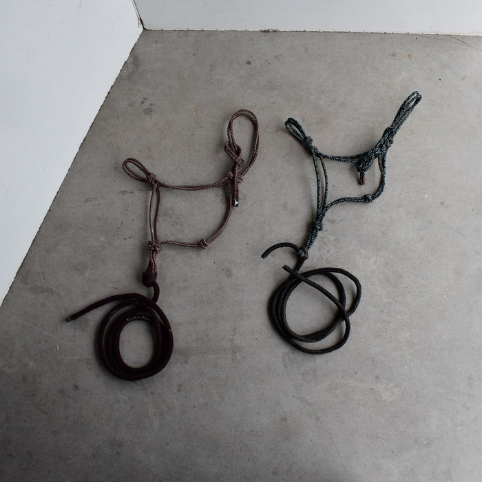 Used Assorted Rope With Halter With Leads Set of 2 Sale Barn Teskey's