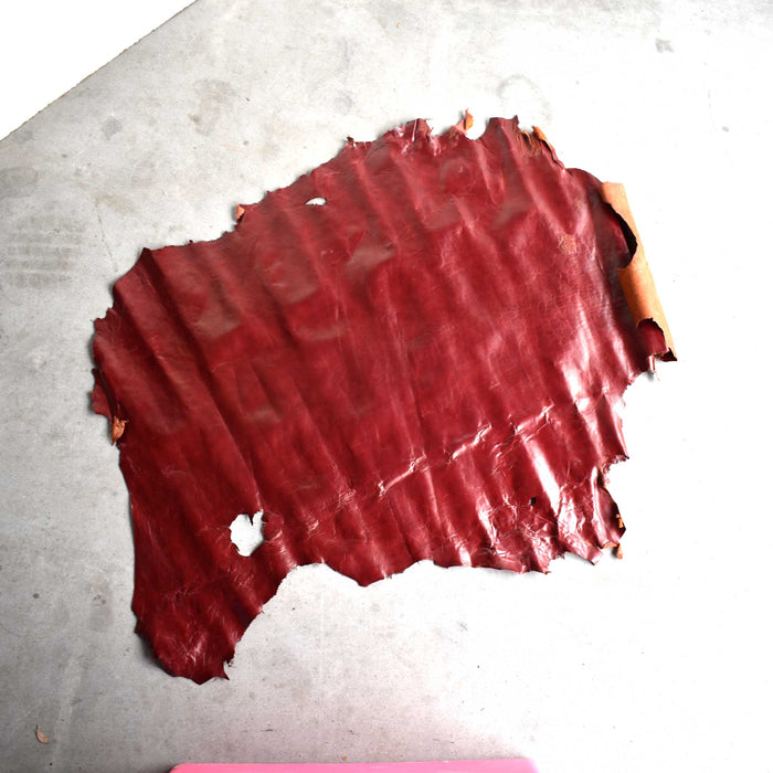 NEW Top Grain Leather Hide