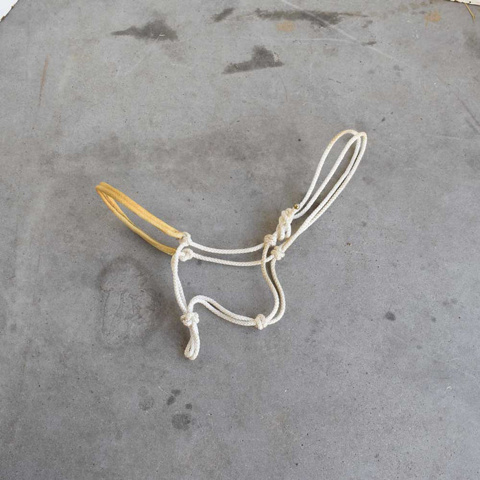 Used Rope Halter Sale Barn Teskey's
