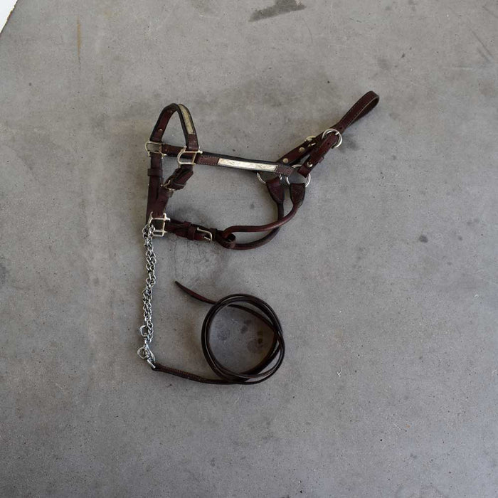Used Silver Show Headstall With Lead Sale Barn Teskey's