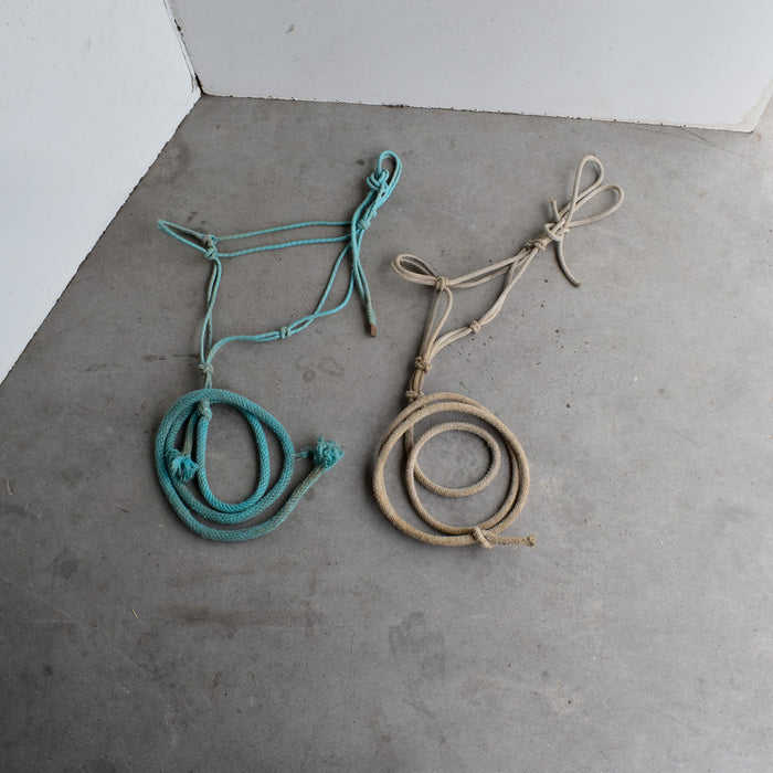 Used Assorted Rope Halter With Leads Set of 2 Sale Barn Teskey's