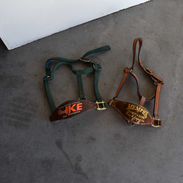 Used Assorted Leather Noseband Halter Set Of 2