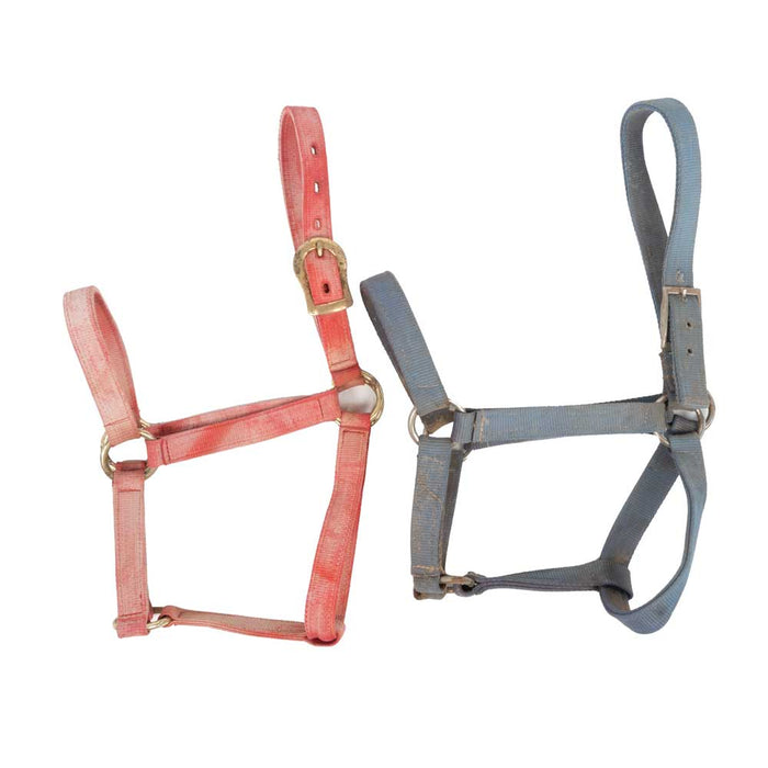 Used Set of 2 Average Halters Sale Barn MISC