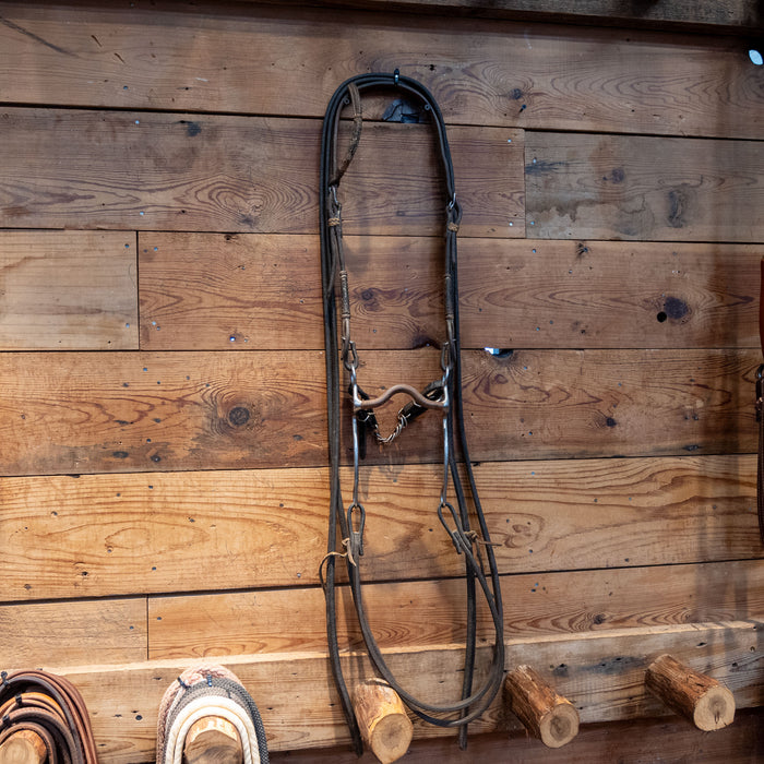 Trammell Solid Port Bit Bridle Rig
