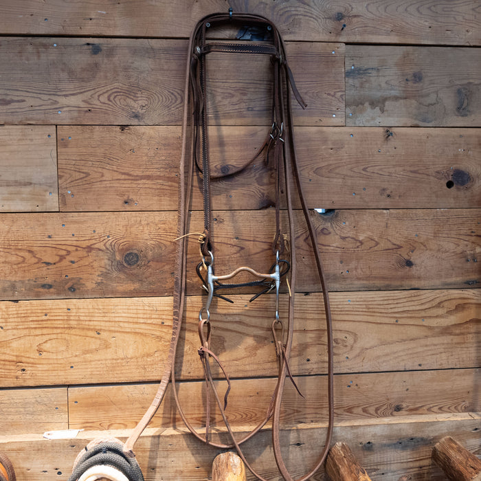 Copper Port Bit Bridle Rig