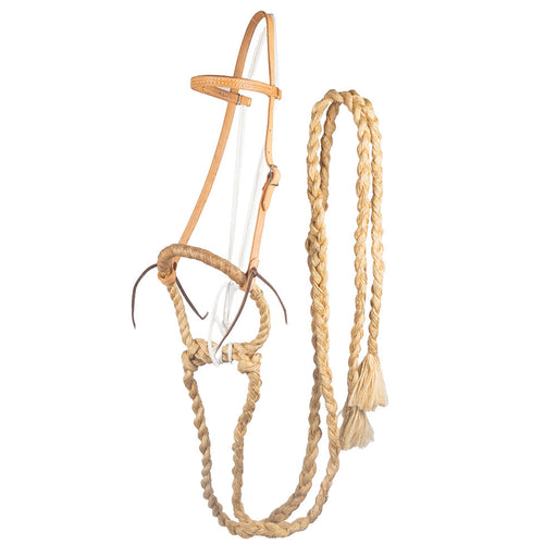 Teskeys Rawhide Braided Grass Loping Hackamore Tack - Training Teskey's