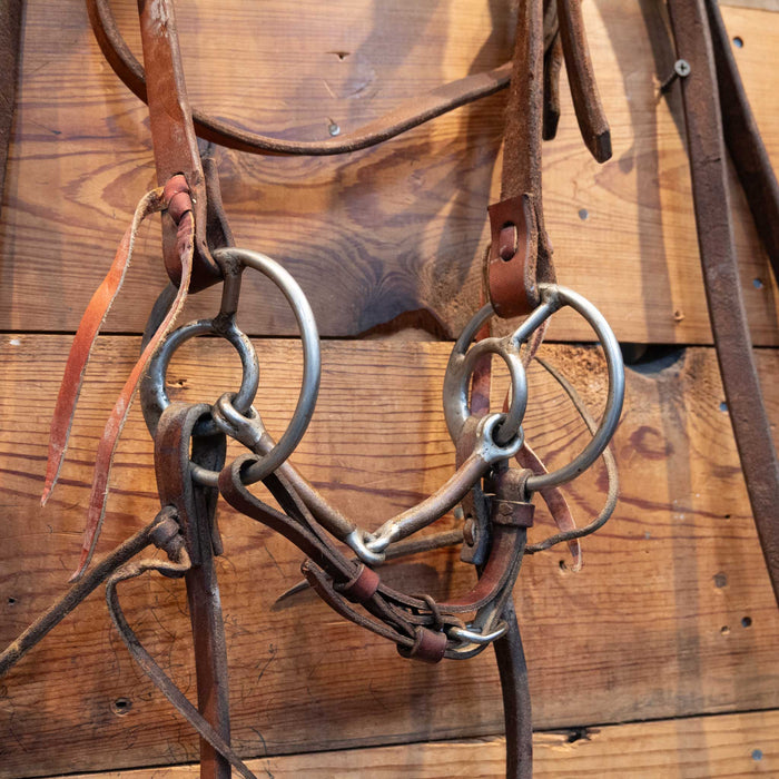 Locked O-Ring Snaffle Bridle Rig Tack - Rigs MISC