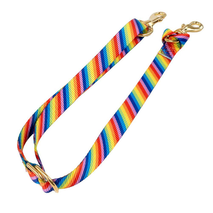 Teskey's Nylon 1" Tie Down Strap Tack - Nosebands & Tie Downs Teskey's Rainbow