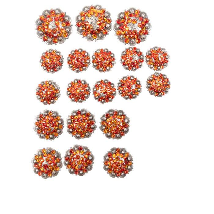 New Swarovski Crystal Set Of 19 Grab Bag Concho Bundle Sale Barn MISC