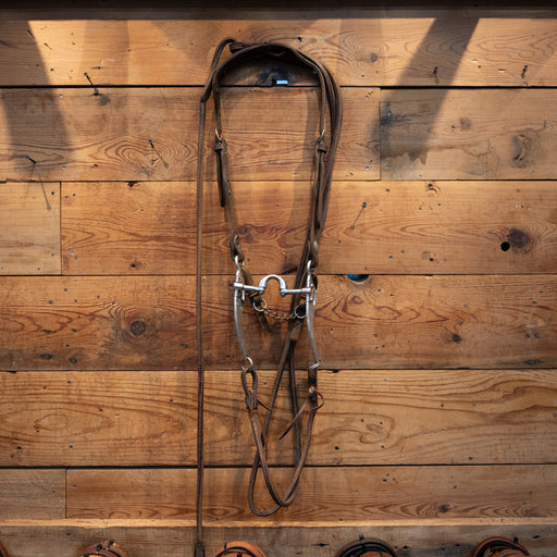 Quick Bit Correction Rig Sale Barn Mike Quick