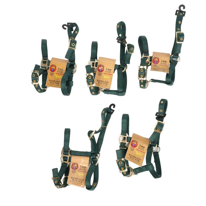 New Set Of 5 Hamilton Large Mini Halters Sale Barn MISC