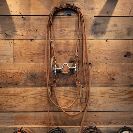 CHS Solid Port Bridle Rig w/ Martingale Tack - Training Cow Horse Supply