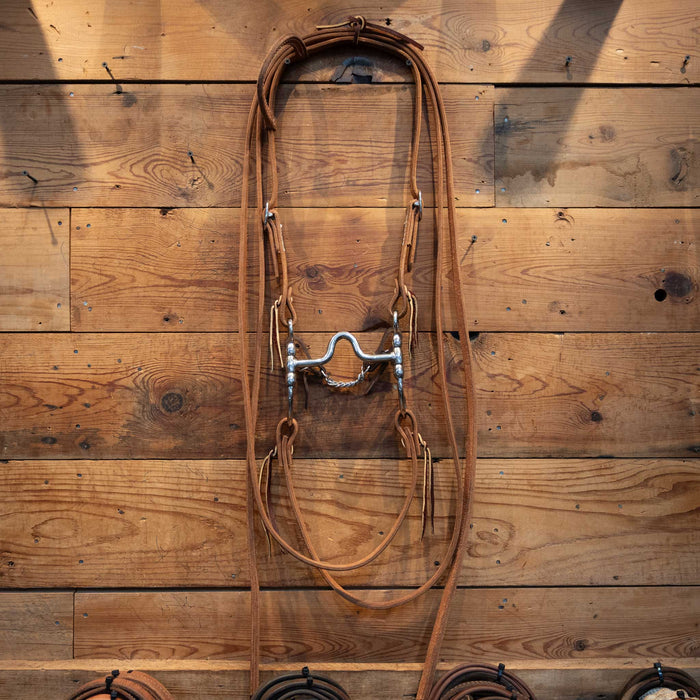 CHS Solid Port Bridle Rig w/ Martingale Tack - Training Cow Horse Supply