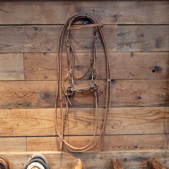 O-Ring Snaffle Bit Bridle Rig