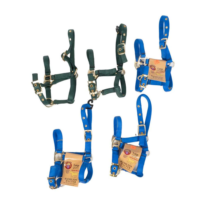 New Set Of 5 Hamilton Large Mini Halters Sale Barn MISC