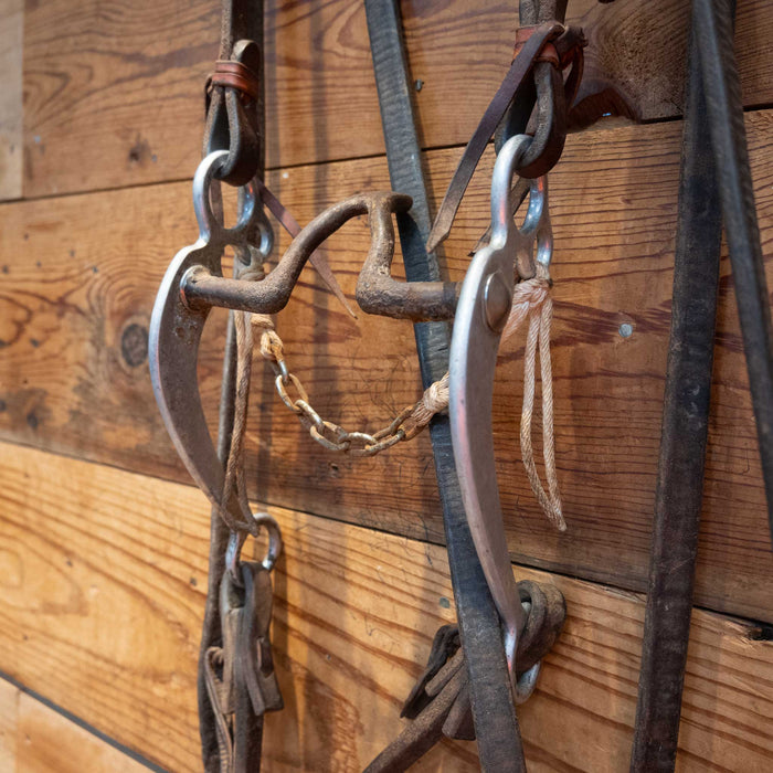 Cathedral Bridle Rig Sale Barn MISC