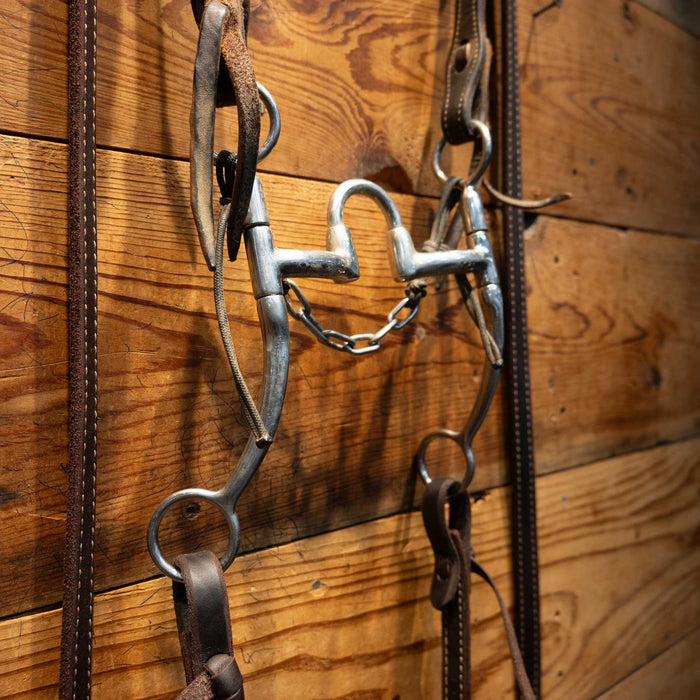 Bill Freeman Correction Bridle Rig