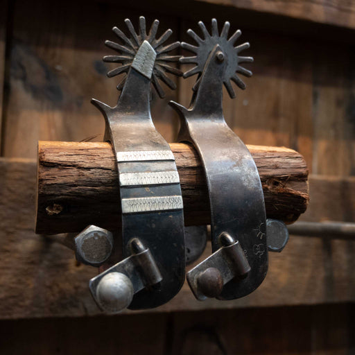 Silver Mounted 16pt. Spurs Tack - Spurs MISC