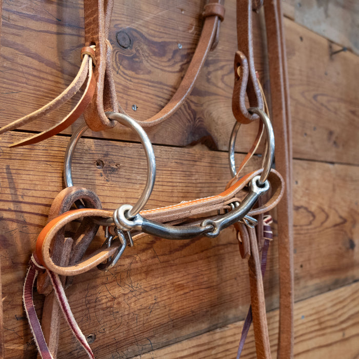 O-Ring Snaffle Bit Bridle Rig