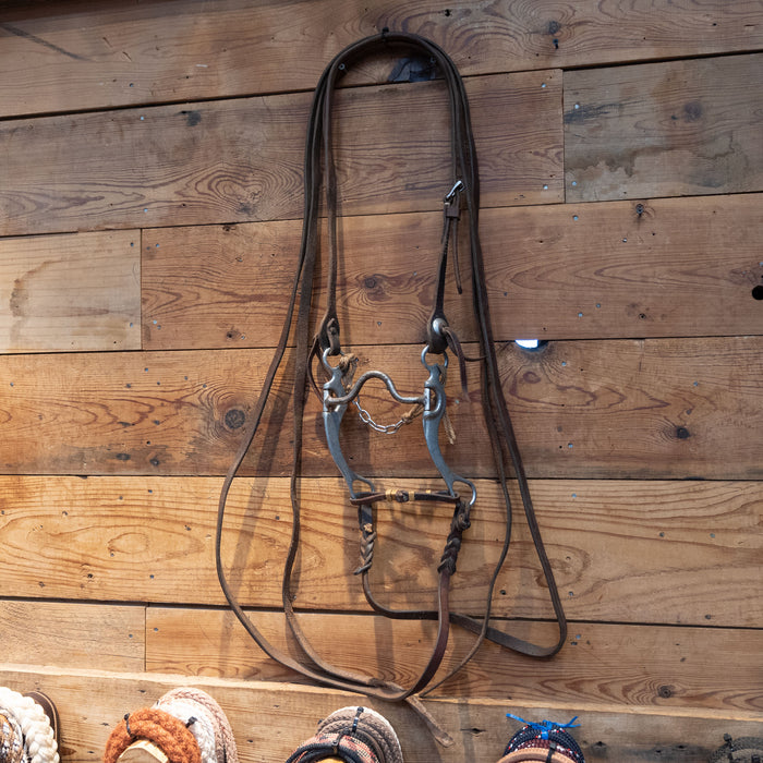 Dennis Moreland Solid Port Bridle Rig