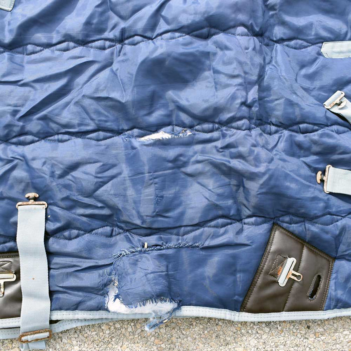 Used Horse Sense 60" Winter Blanket Sale Barn Teskey's