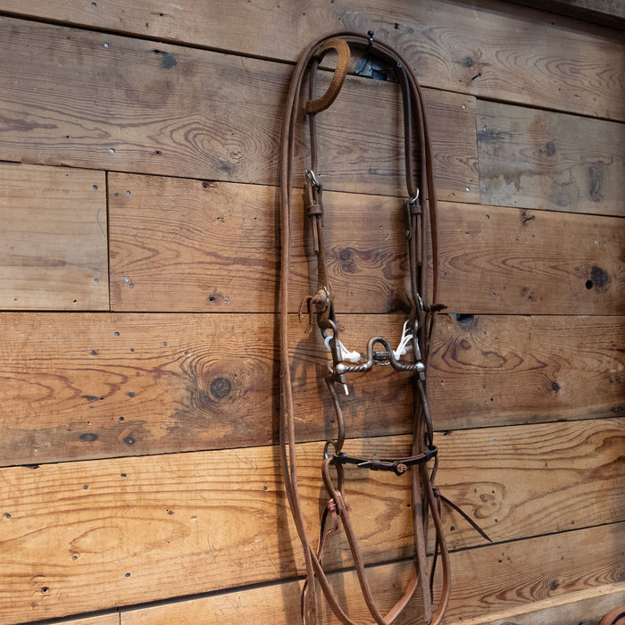 Kerry Kelley 7 Slow Twist Port w/ Cricket Bridle Rig