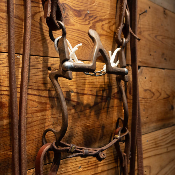 Kerry Kelley Cathedral Bridle Rig