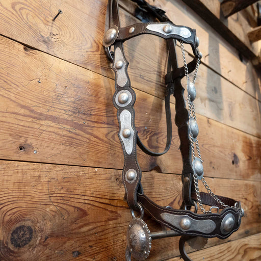Parade Bridle Set w/ Sterling Silver Conchos Tack - Rigs MISC