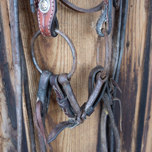 O-Ring Smooth Snaffle w/Leather Bridle Rig Sale Barn MISC
