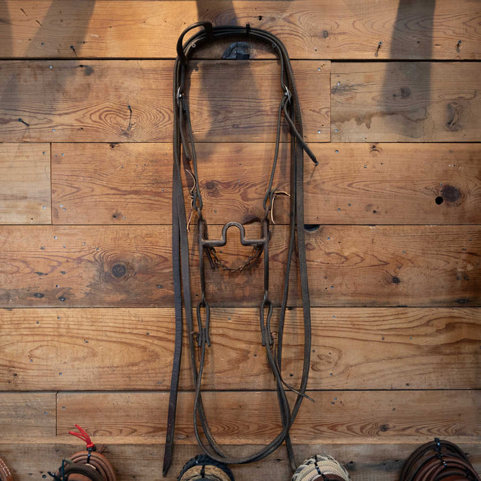 Daryl Davis Port Bridle Rig Tack - Rigs Daryl Davis