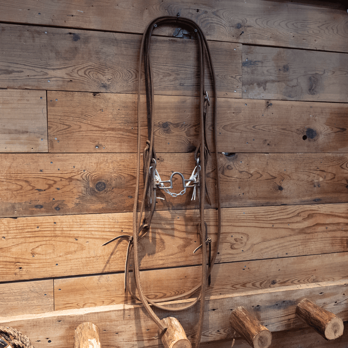 Josh Ownbey Ported Chain Bridle Rig