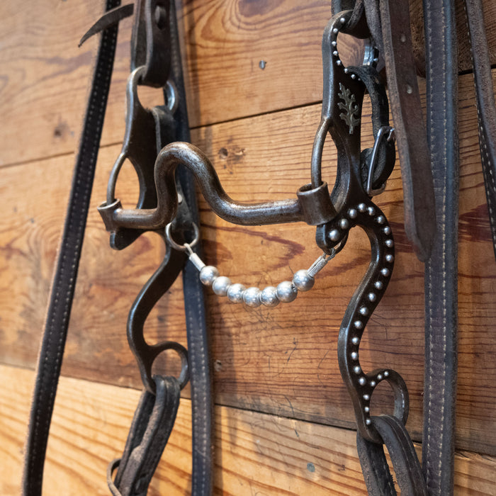 Gordy Alderson Silver Mounted Port Bridle Rig