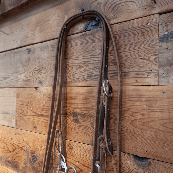 Josh Ownbey Ported Chain Bridle Rig