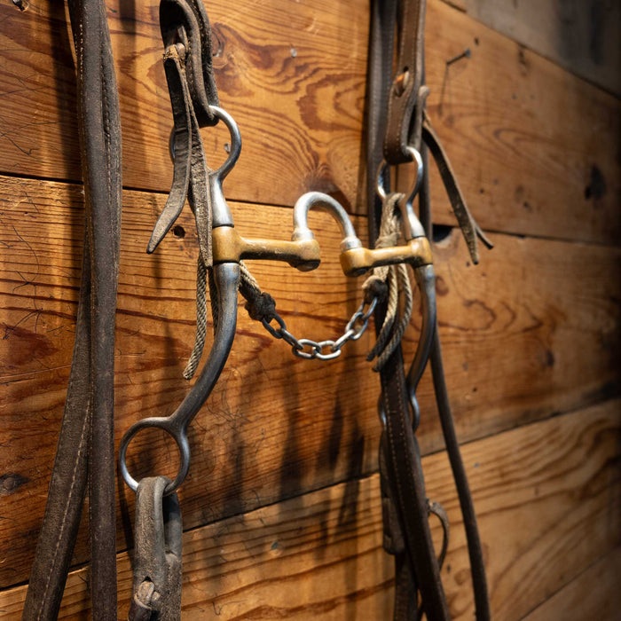 Correction w/ Brass Bars Bridle Rig