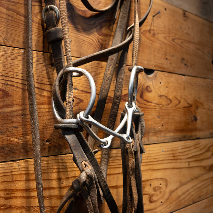 Double Snaffle Draw Rig