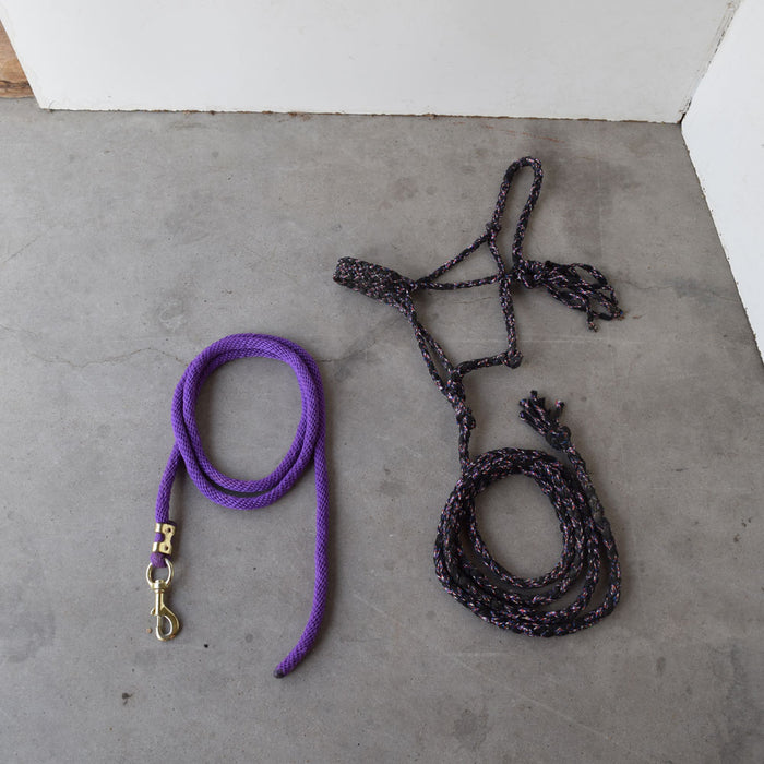 Used Lead Rope With Rope Halter Sale Barn Teskeys