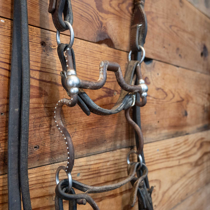 Tom Balding Hinge Port Bridle Rig