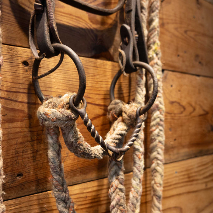 O-Ring Twisted Wire Snaffle Bridle Rig