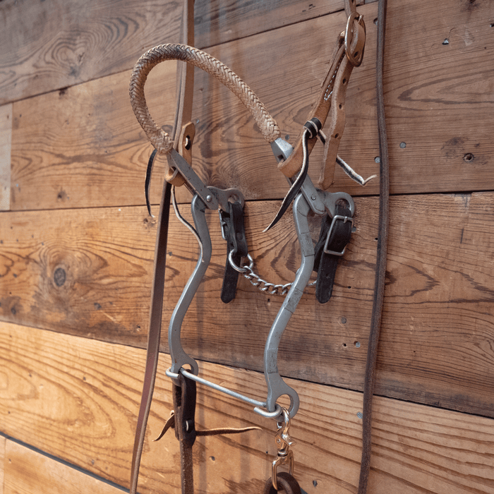 Hackamore Bridle Rig
