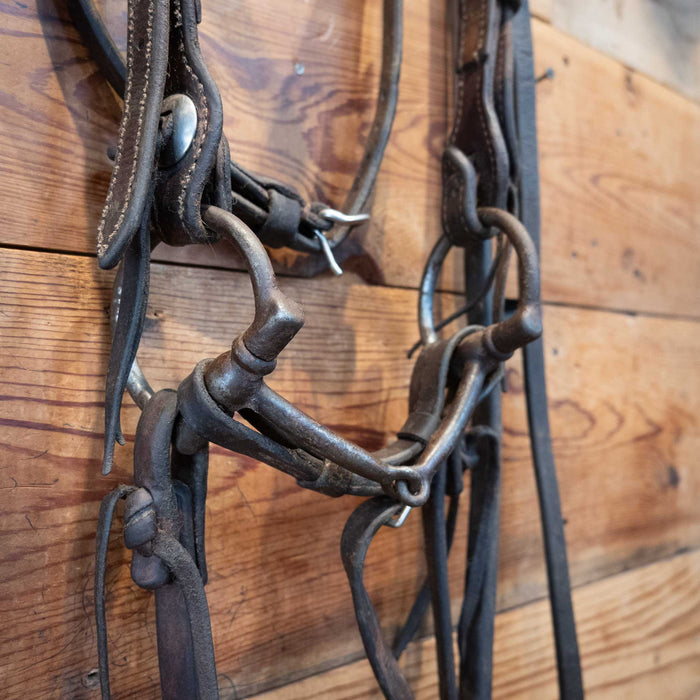 Matt Humphries D-Ring Bridle Rig