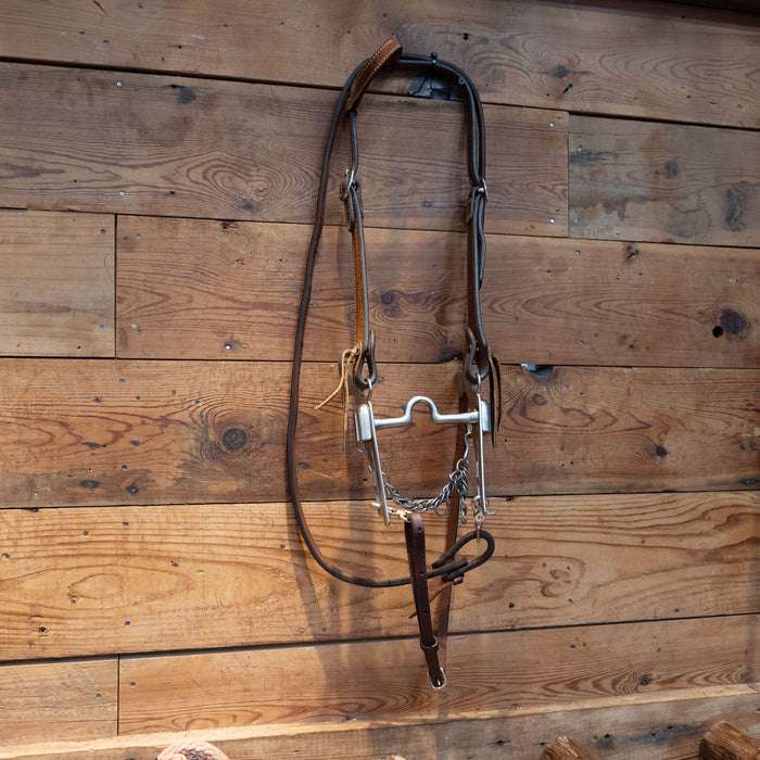 Solid Port w/ Cricket Bit Bridle Rig